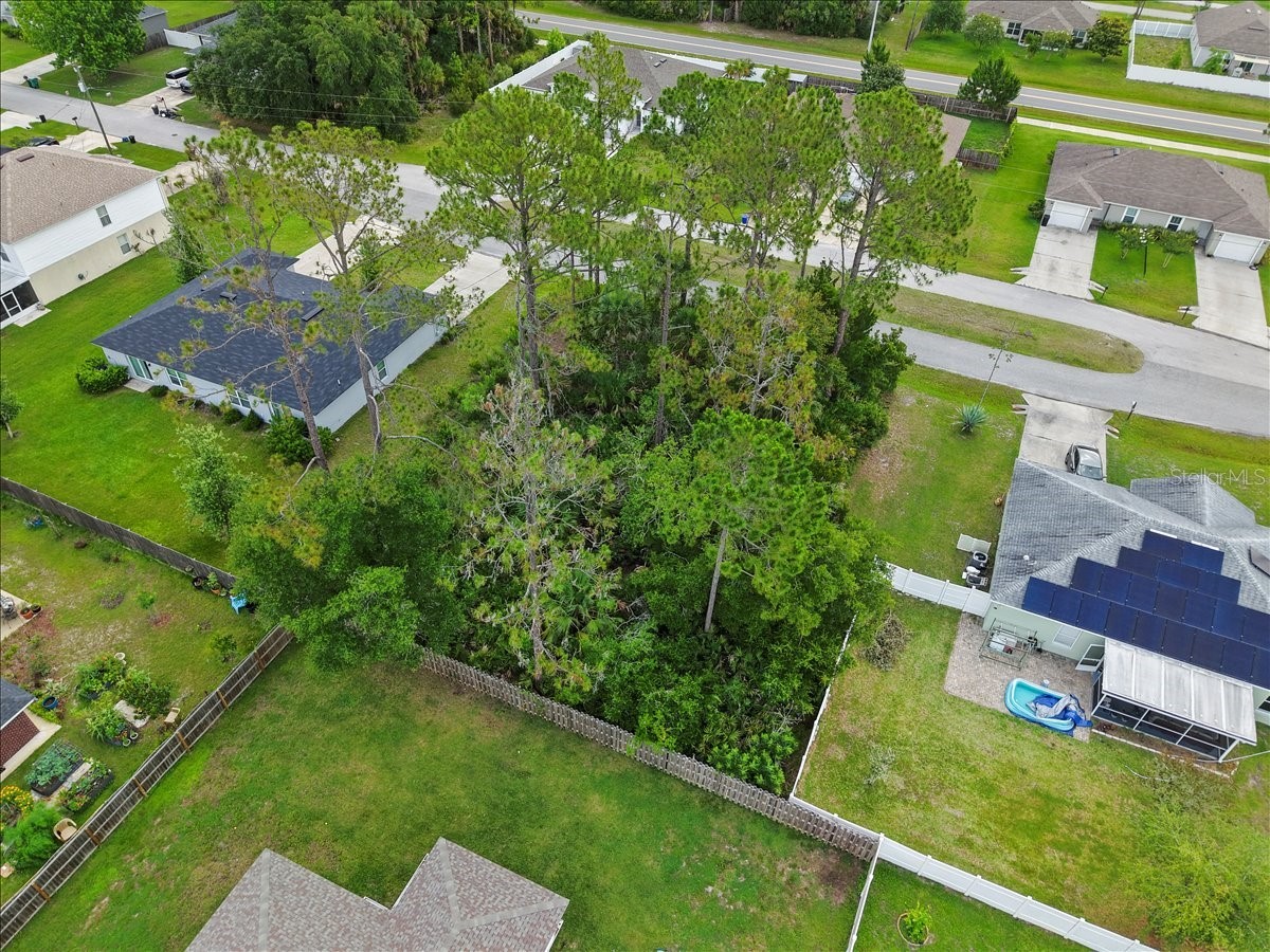 7 Service Tree Place Palm Coast FL 32164 FC318881 image9