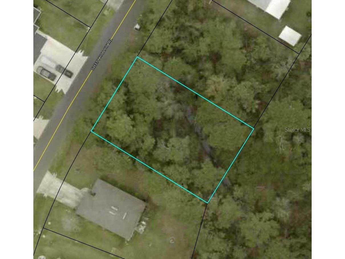 7 Sleepy Hollow Trail Palm Coast FL 32164 TB8483641 image1