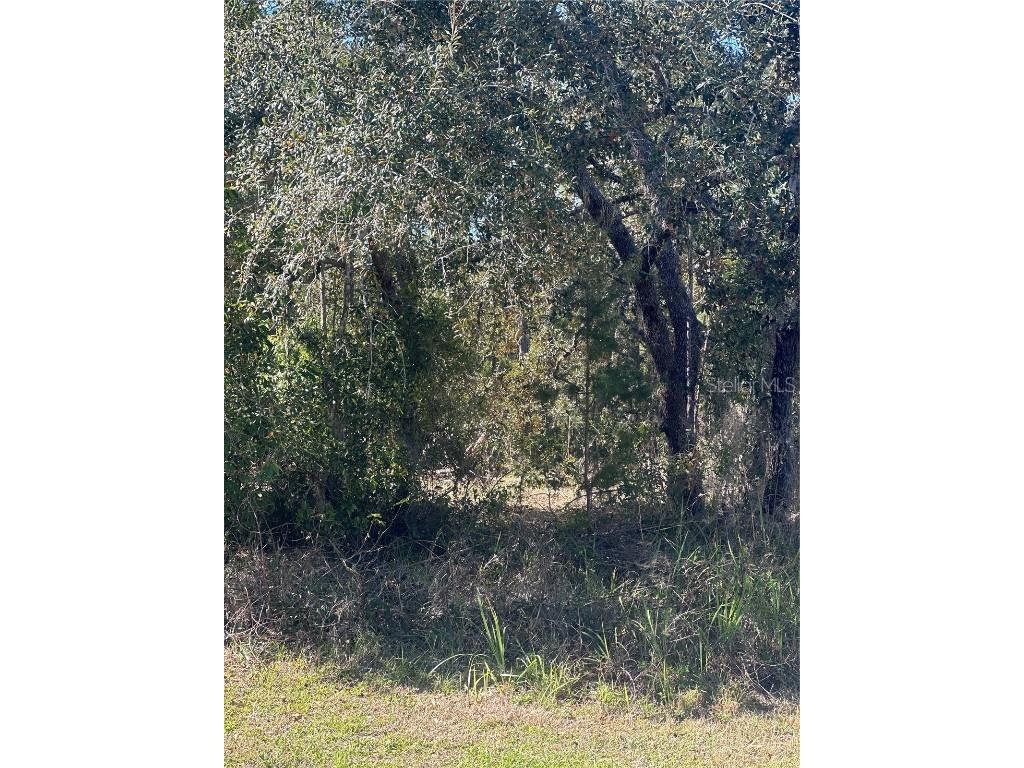 7 Sweetbay Court Homosassa FL 34446 TB8364467 image1