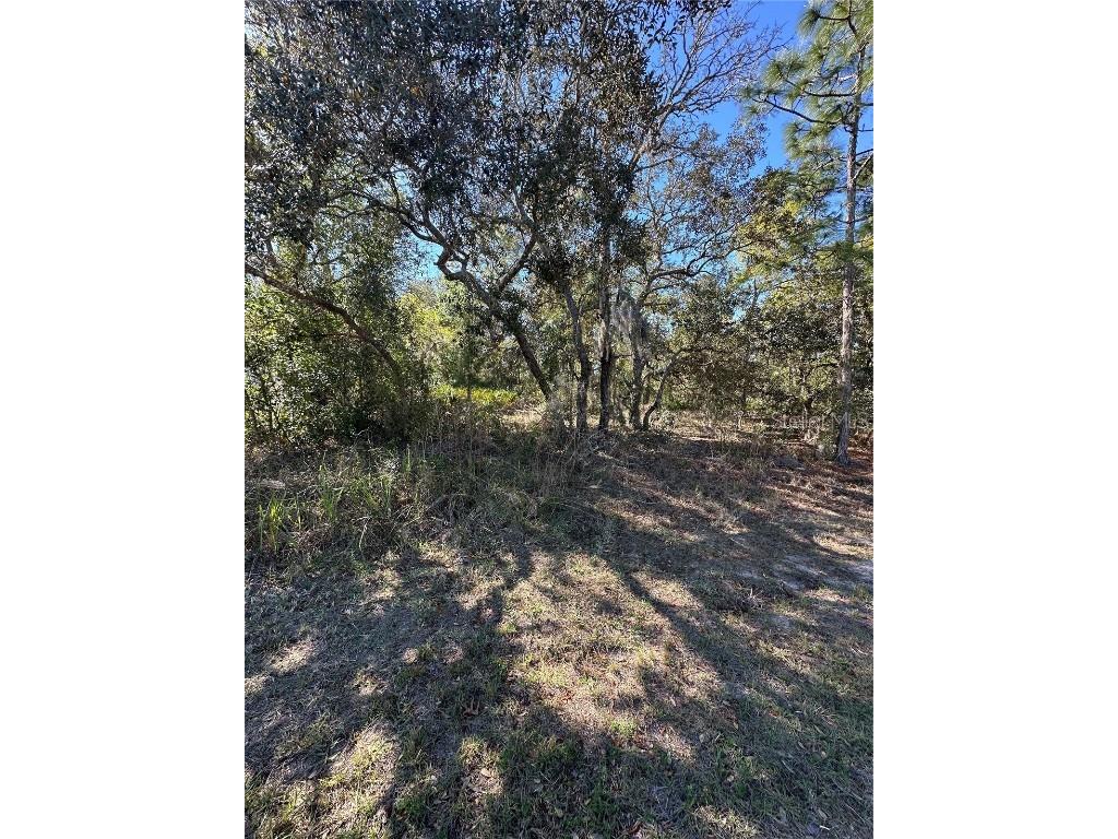 7 Sweetbay Court Homosassa FL 34446 TB8364467 image2