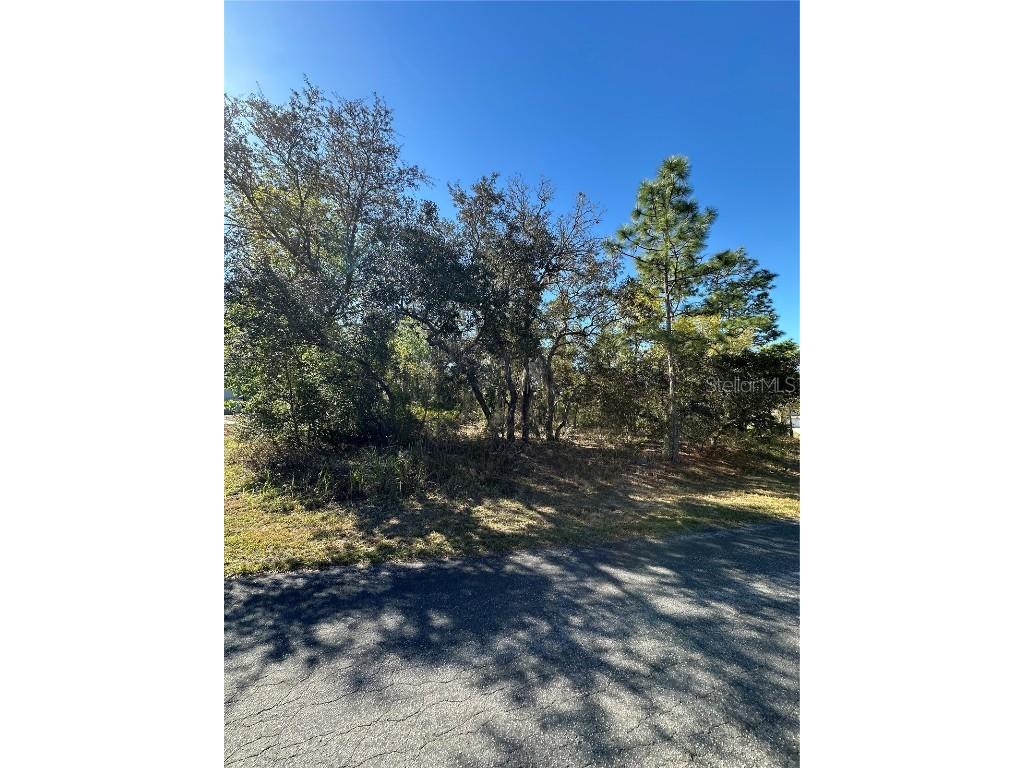 7 Sweetbay Court Homosassa FL 34446 TB8364467 image4