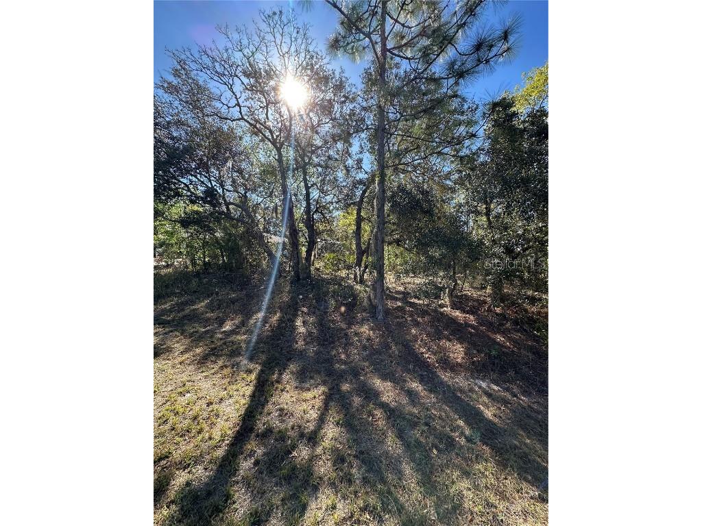 7 Sweetbay Court Homosassa FL 34446 TB8364467 image5