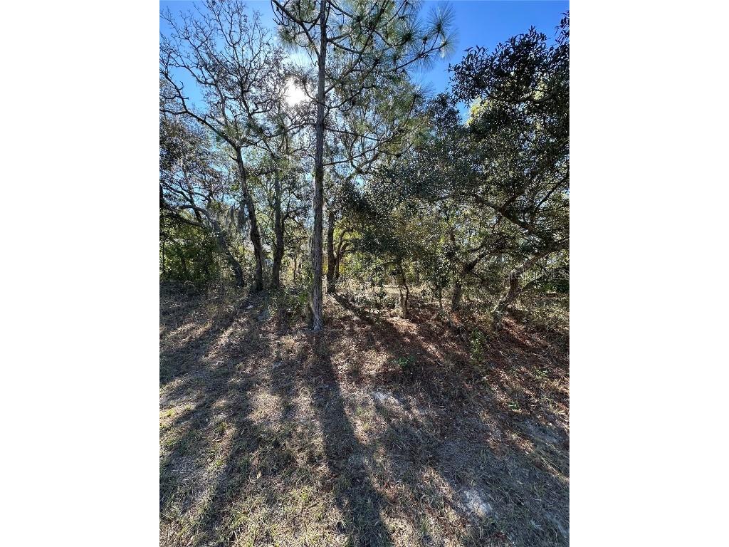 7 Sweetbay Court Homosassa FL 34446 TB8364467 image6