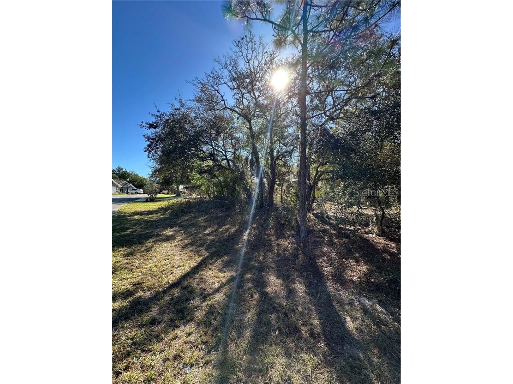 7 Sweetbay Court Homosassa FL 34446 TB8364467 image7