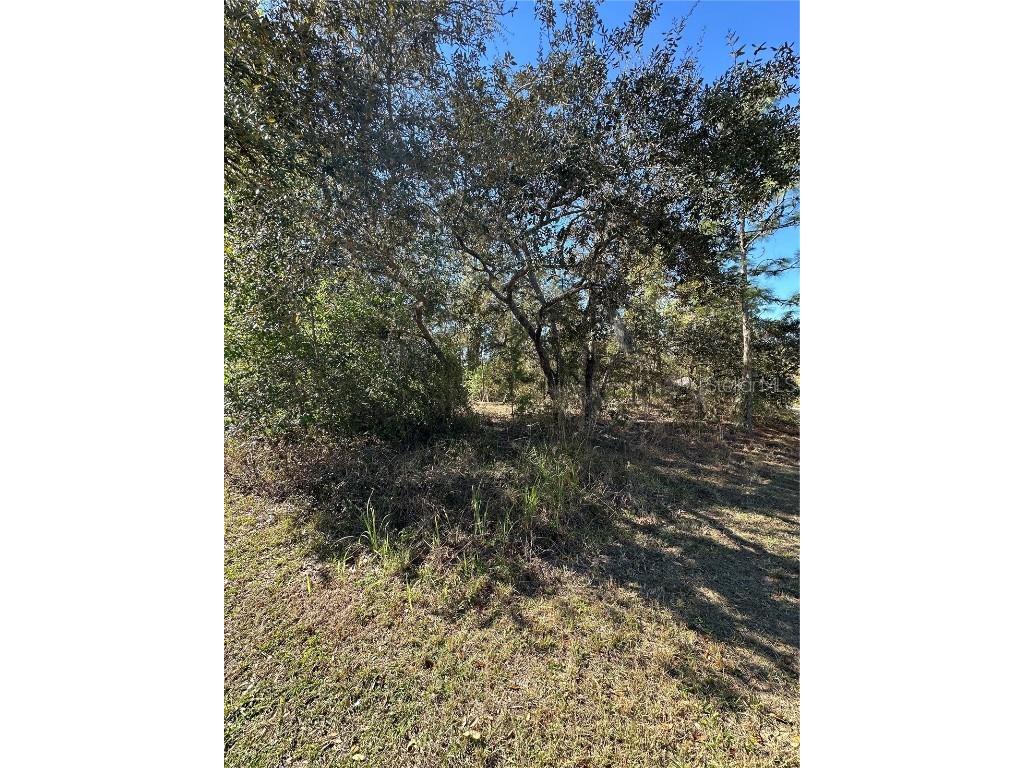 7 Sweetbay Court Homosassa FL 34446 TB8364467 image8