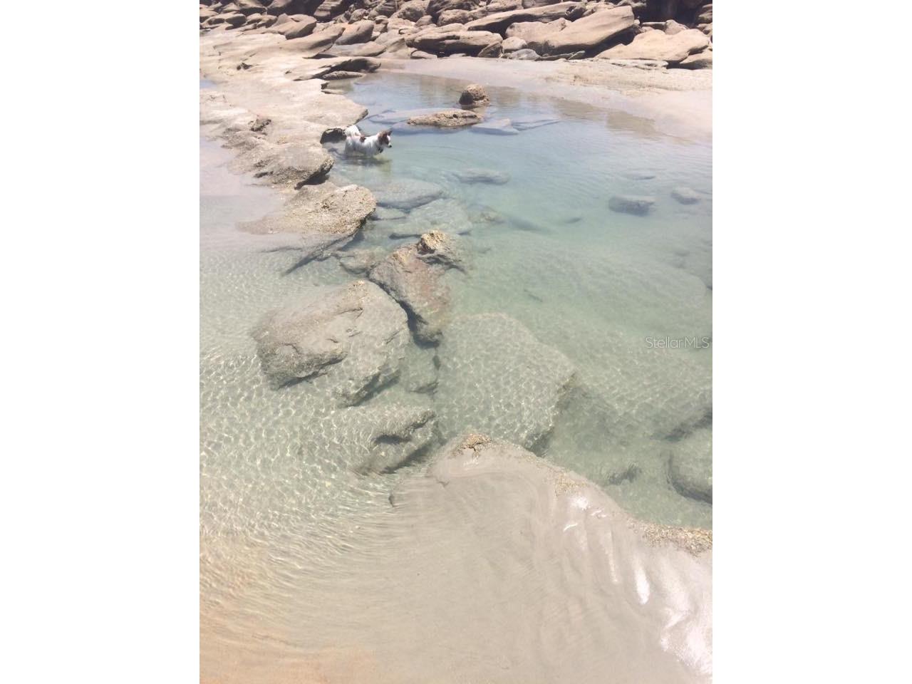 7 Turtle Beach Drive Palm Coast FL 32137 FC315277 image39