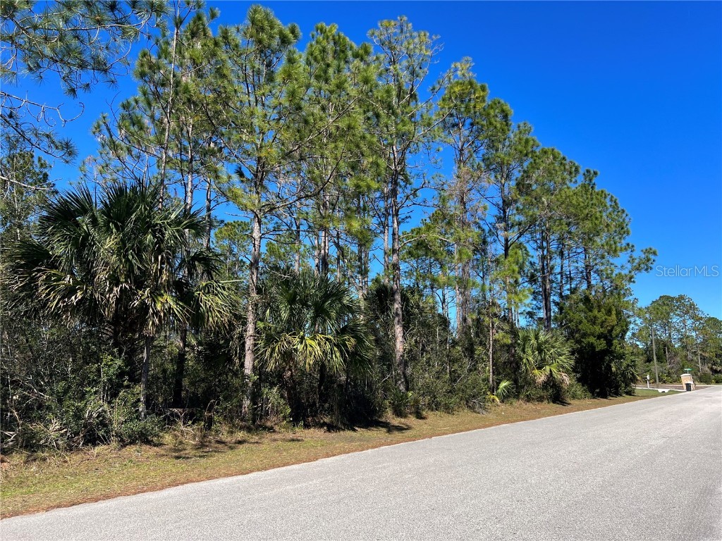 7 Universal Trail Palm Coast FL 32164 U8190779 image1