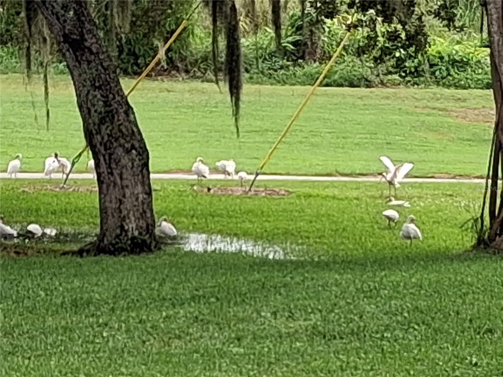 7 Vista Gardens Trail #105 Vero Beach FL 32962 O6376235 image3