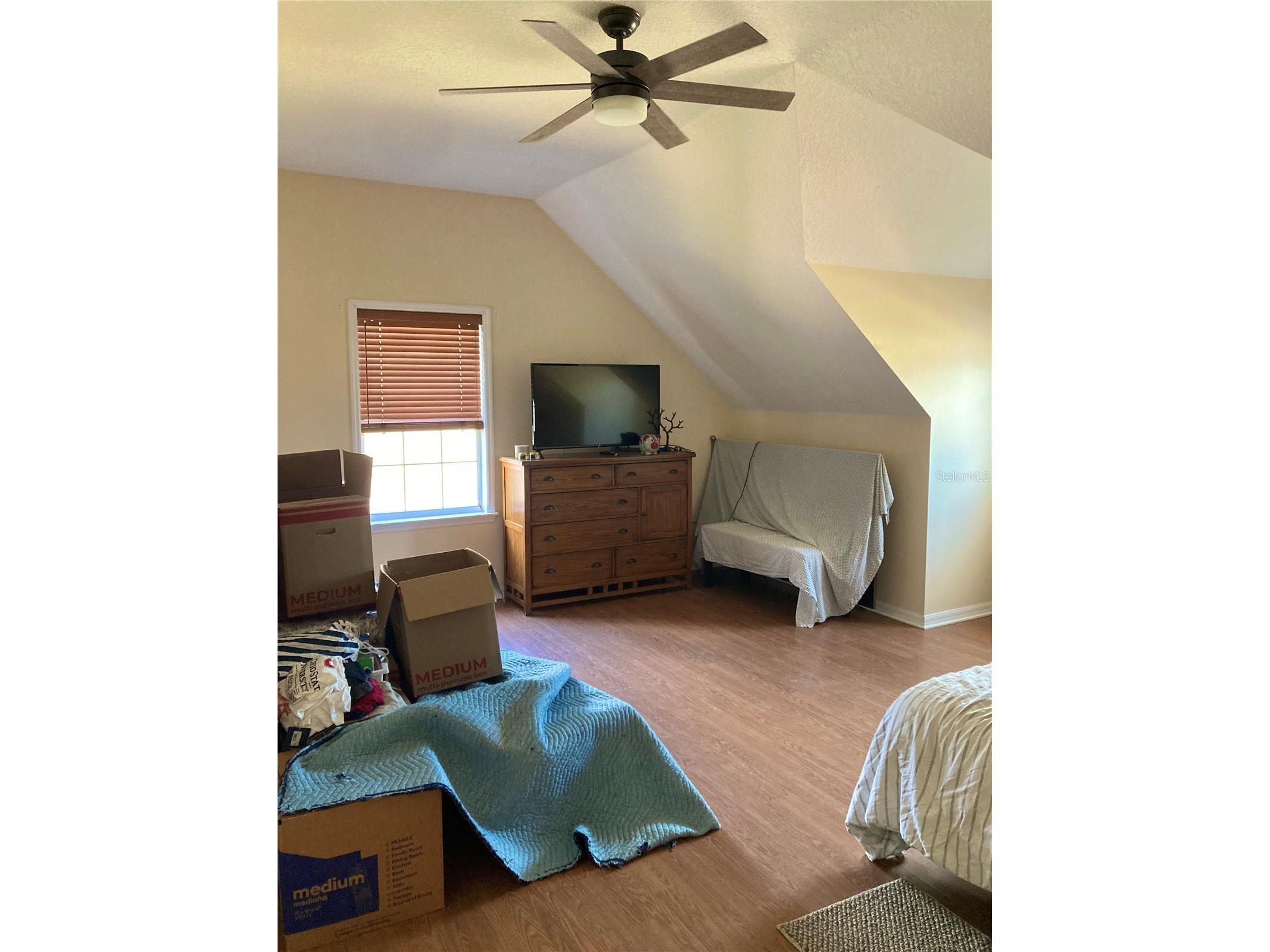 7 Whitehall Court Flagler Beach FL 32136 FC316643 image43