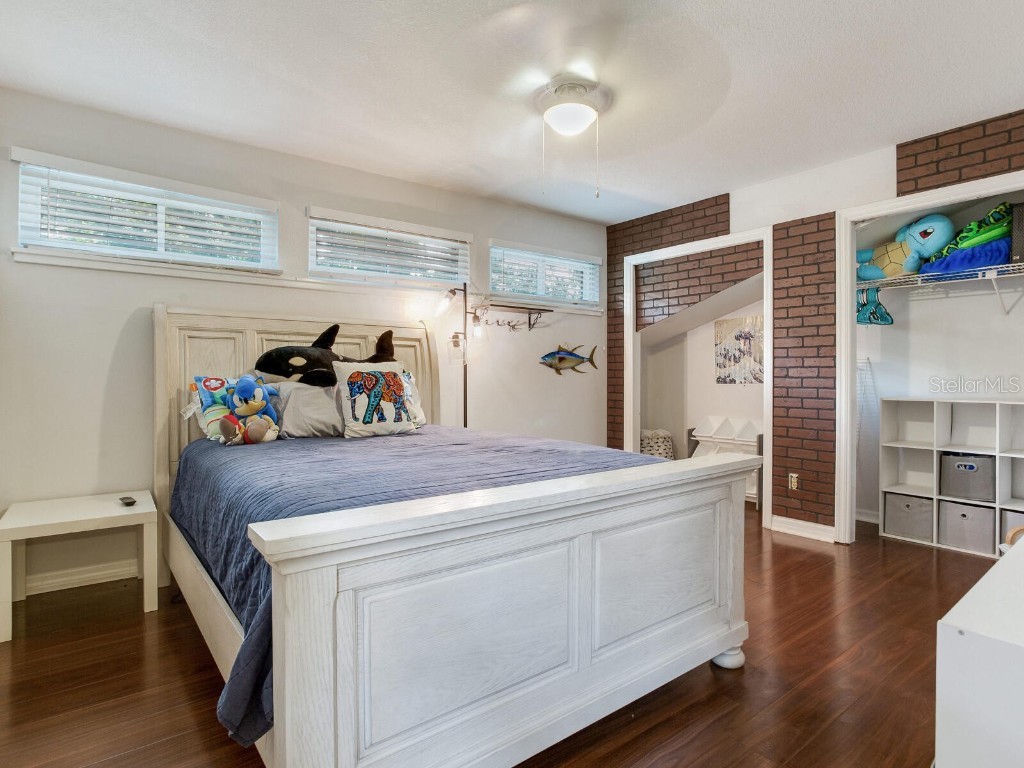 70 Bay Woods Drive Safety Harbor FL 34695 TB8436175 image37