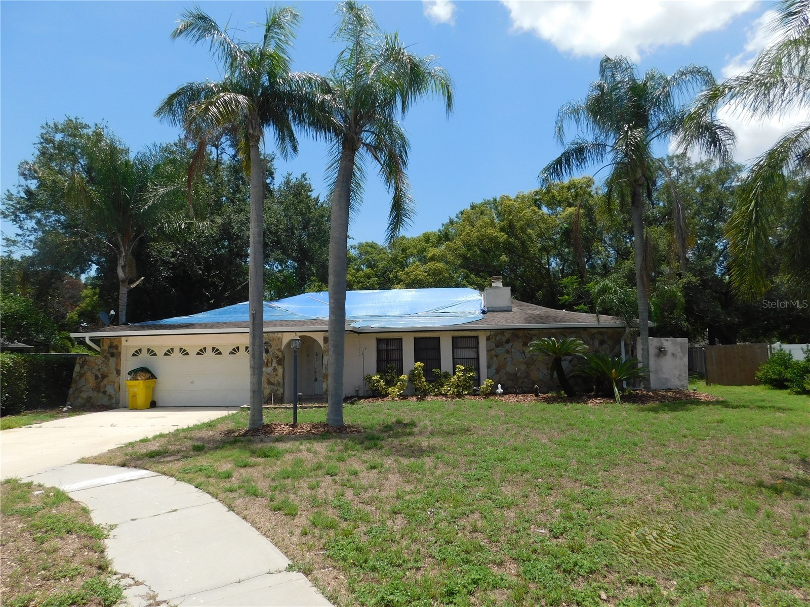 70 Citrus Court Palm Harbor FL 34683 TB8511739 image1