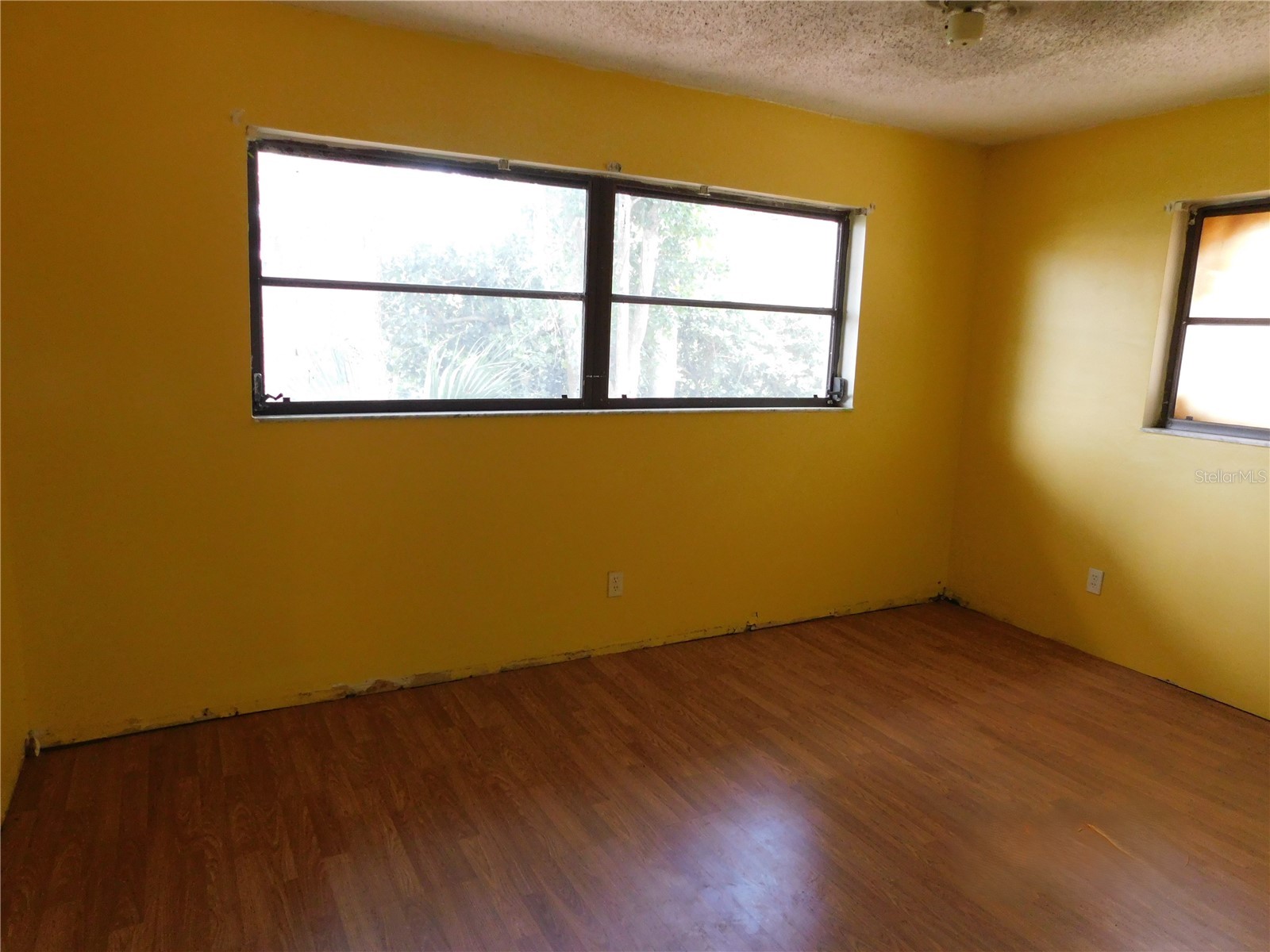 70 Citrus Court Palm Harbor FL 34683 TB8511739 image17