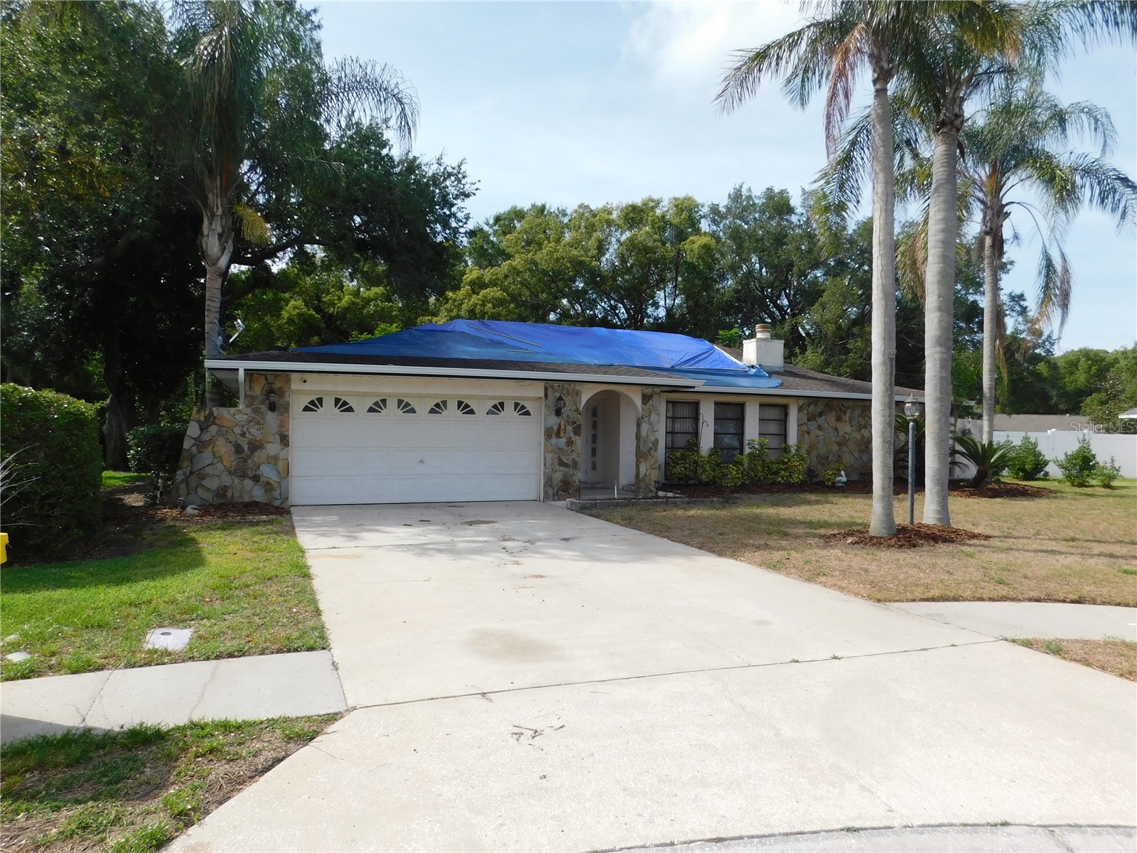 70 Citrus Court Palm Harbor FL 34683 TB8511739 image2