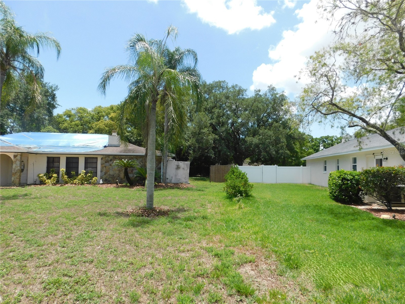 70 Citrus Court Palm Harbor FL 34683 TB8511739 image3