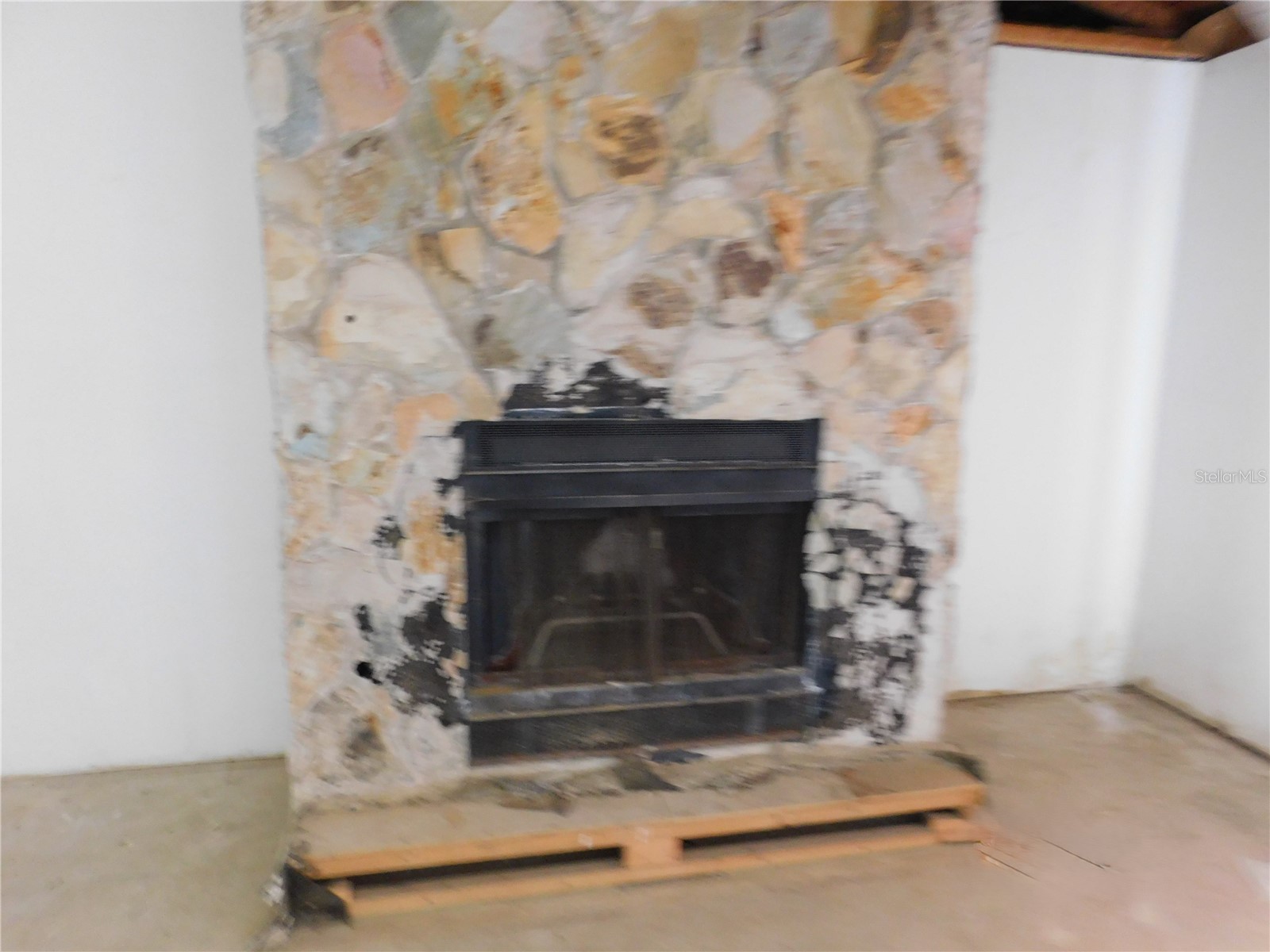 70 Citrus Court Palm Harbor FL 34683 TB8511739 image6