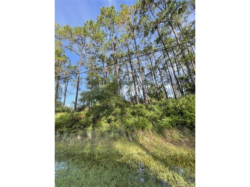 70 Eric Drive Palm Coast FL 32164 FC311822 image1