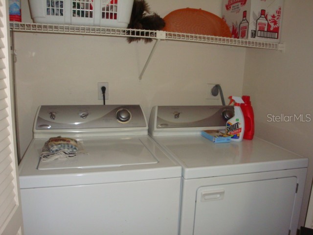 70 Joanne Place #70 Oldsmar FL 34677 TB8499303 image13