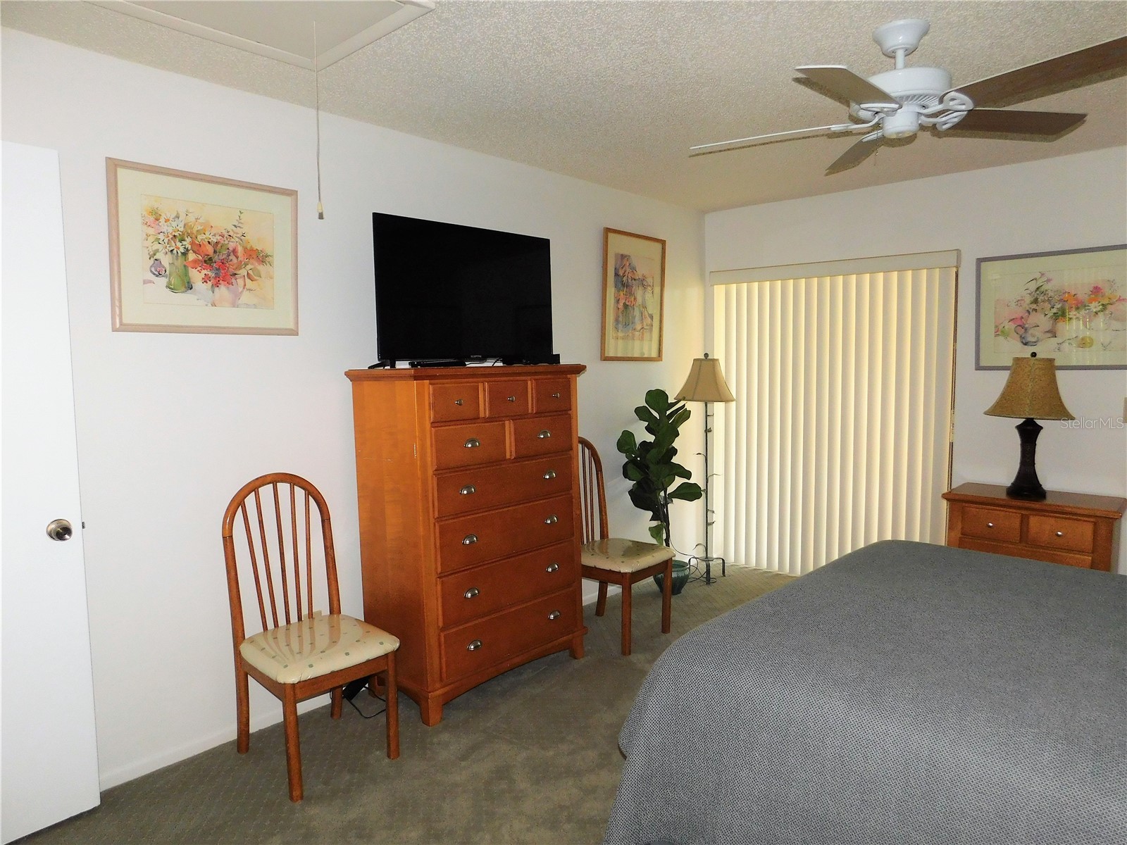 70 Joanne Place #70 Oldsmar FL 34677 TB8499303 image15