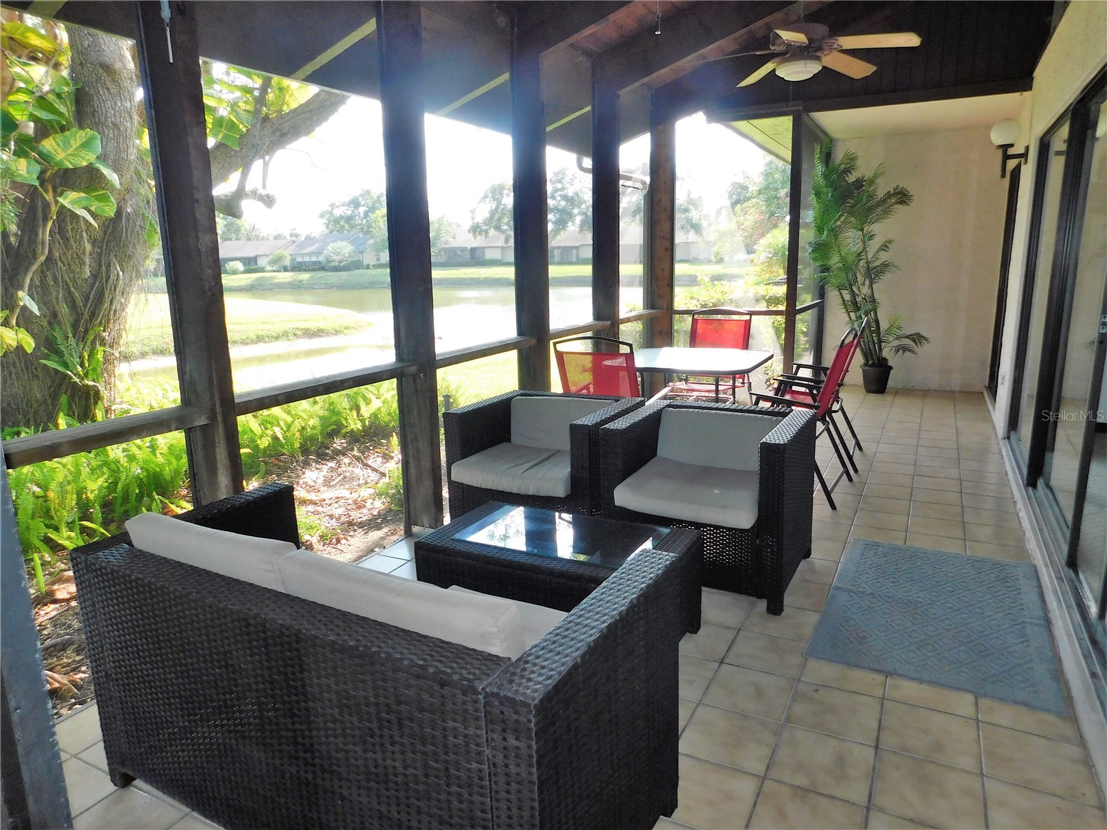 70 Joanne Place #70 Oldsmar FL 34677 TB8499303 image21