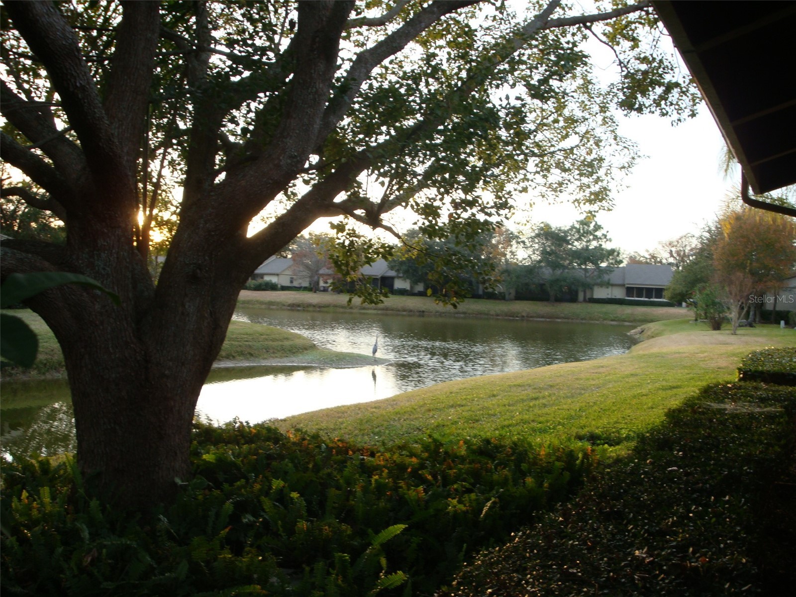 70 Joanne Place #70 Oldsmar FL 34677 TB8499303 image23