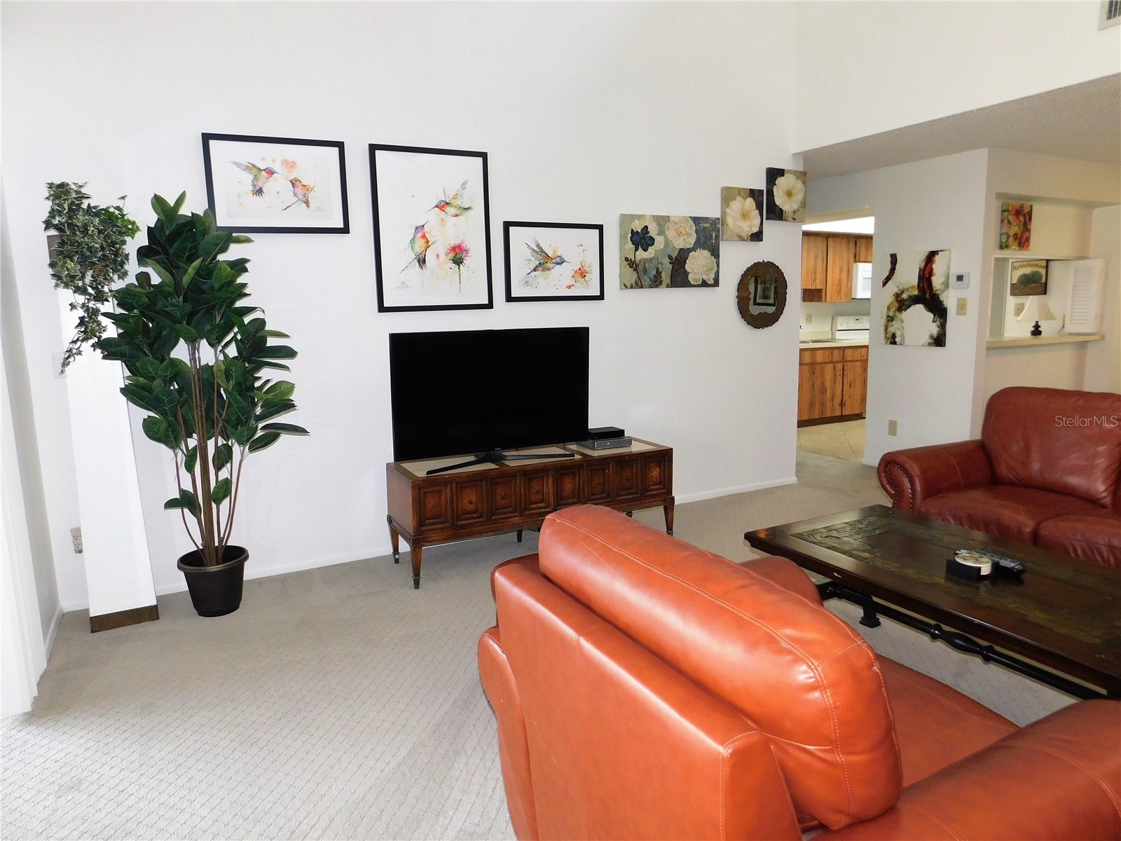 70 Joanne Place #70 Oldsmar FL 34677 TB8499303 image8