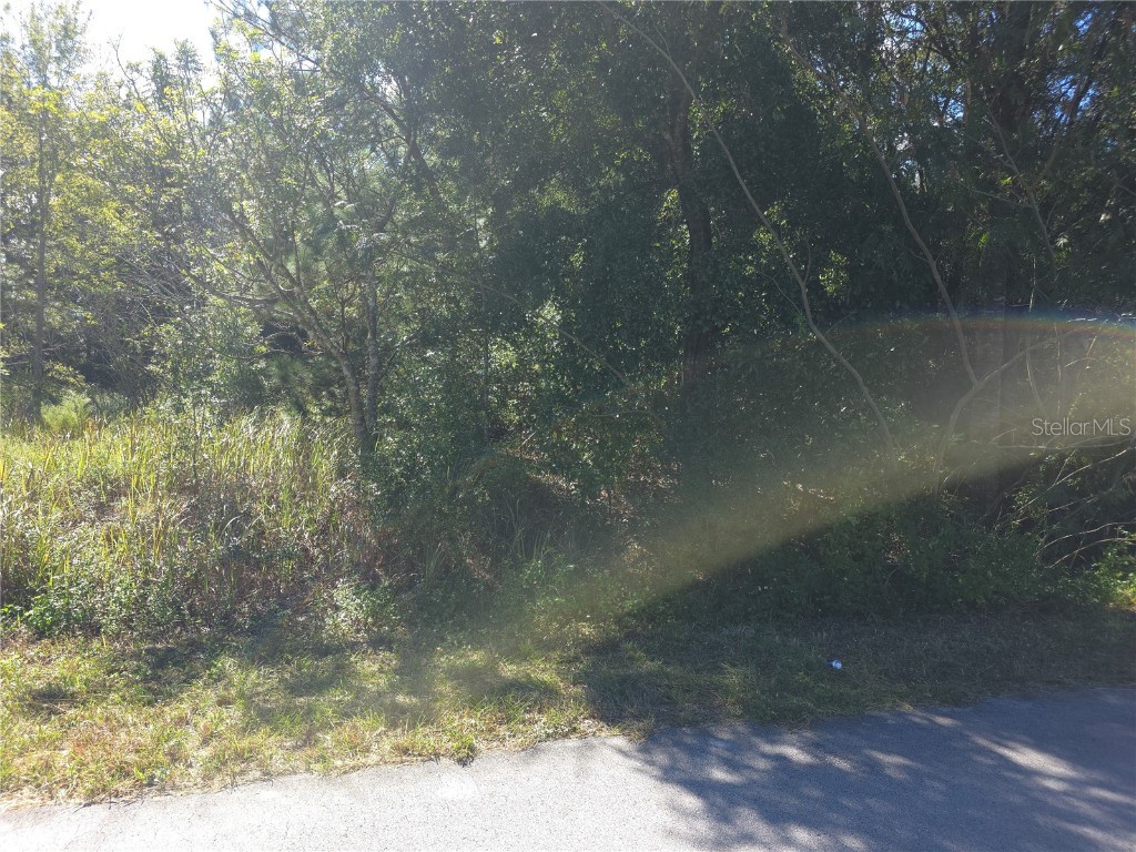 70 Juniper Pass Ocala FL 34480 OM711507 image1