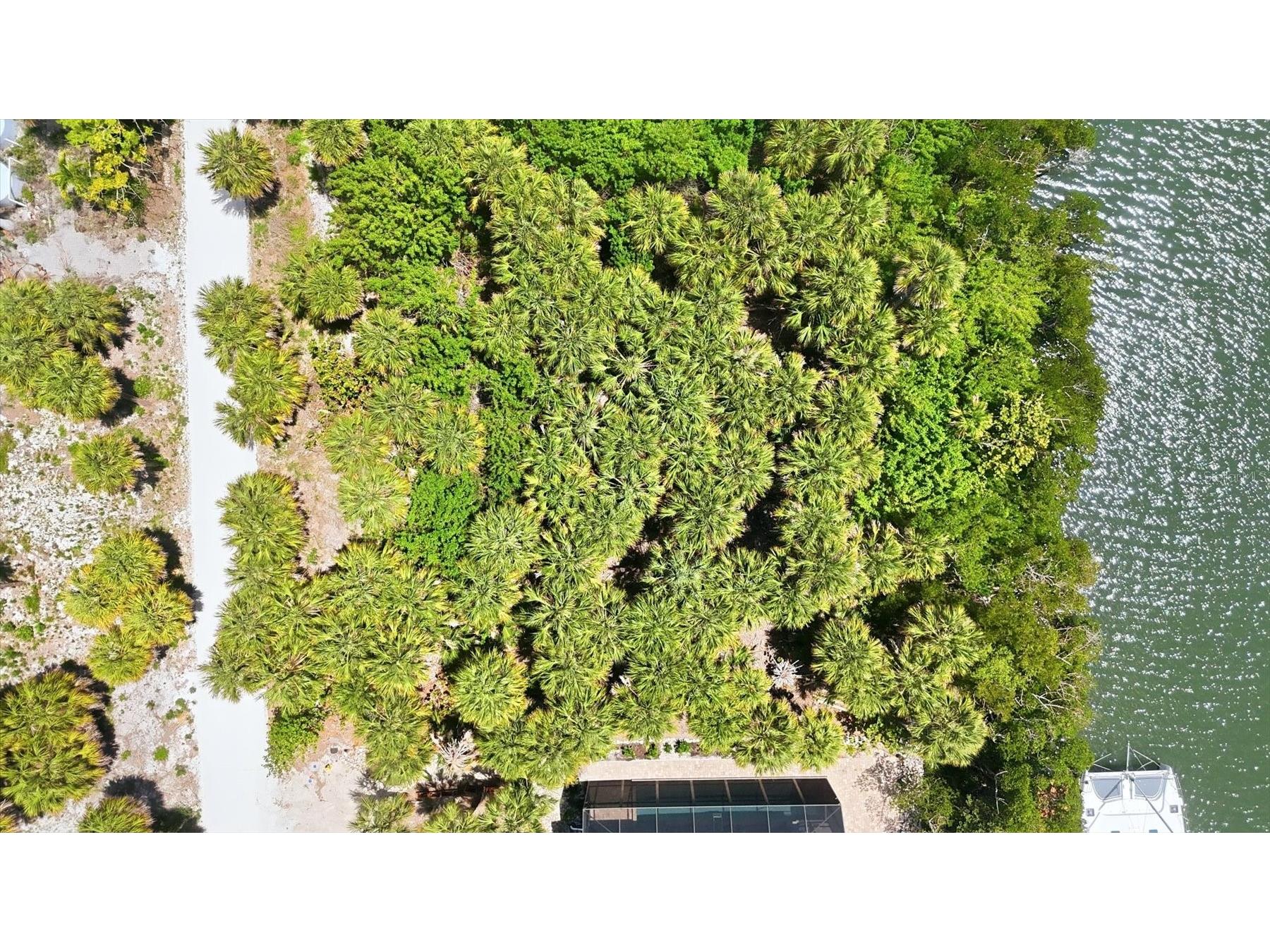 70 Palm Drive Placida FL 33946 D6147077 image21
