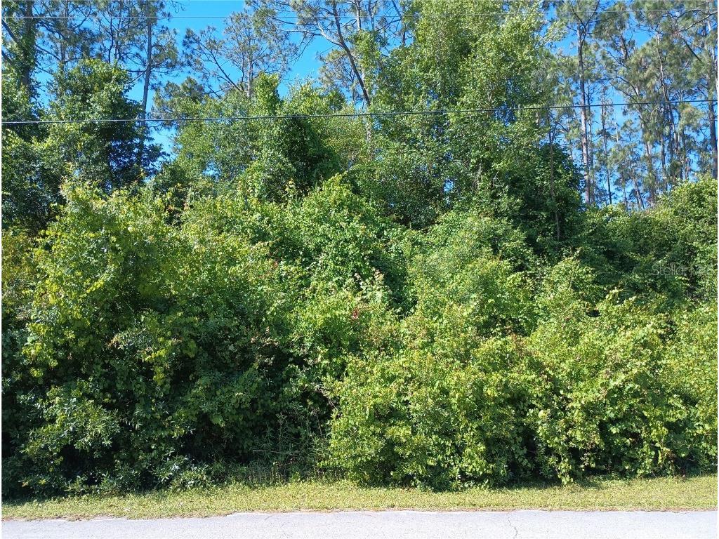 70 Rymshaw Drive Palm Coast FL 32164 FC300718 image1