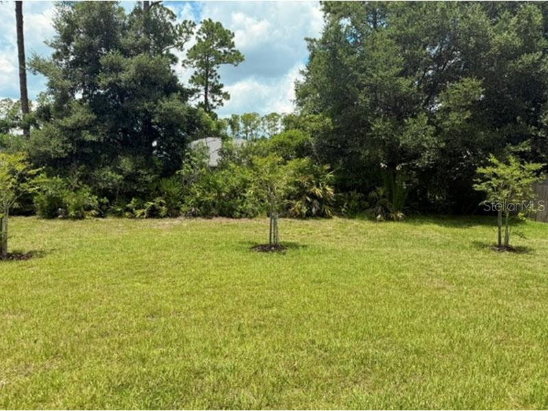 70 Rymshaw Drive Palm Coast FL 32164 C7510474 image13