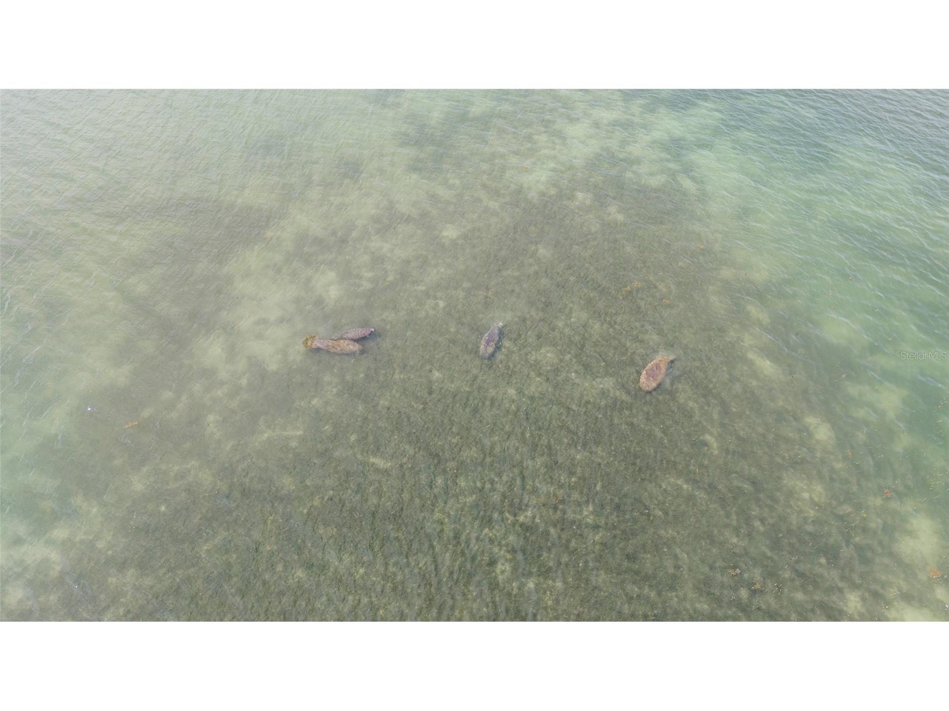 70 Spaniards Road Placida FL 33946 D6145569 image20