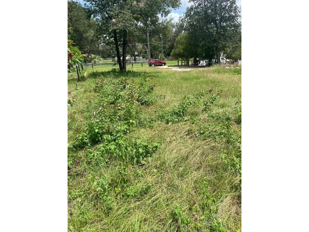 70 SW 156 Th Court Ocala FL 34481 S5130640 image7