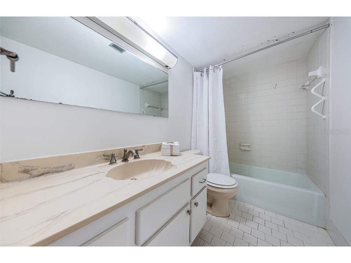 700 Beach Drive NE #308 Saint Petersburg FL 33701 - TAMPA BAY TB8423046 image43