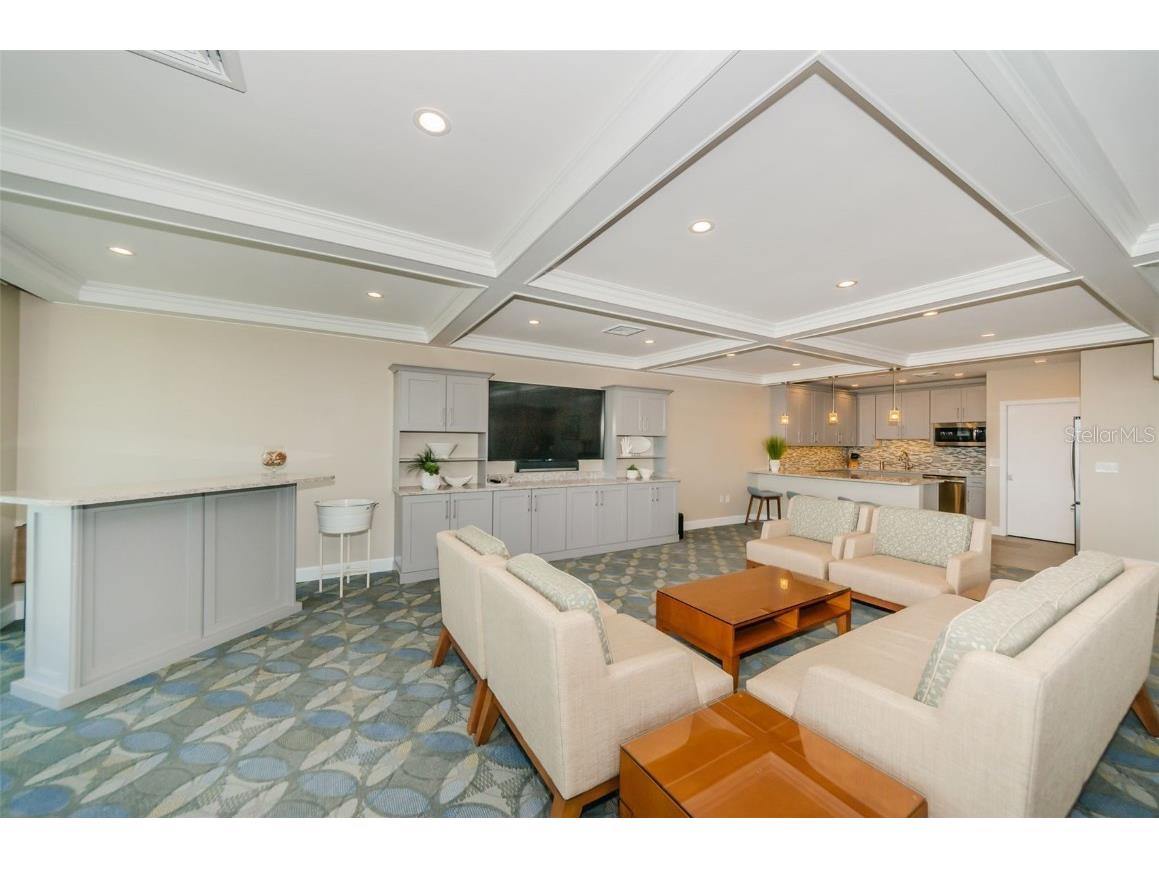 700 Beach Drive NE #308 Saint Petersburg FL 33701 - TAMPA BAY TB8423046 image51