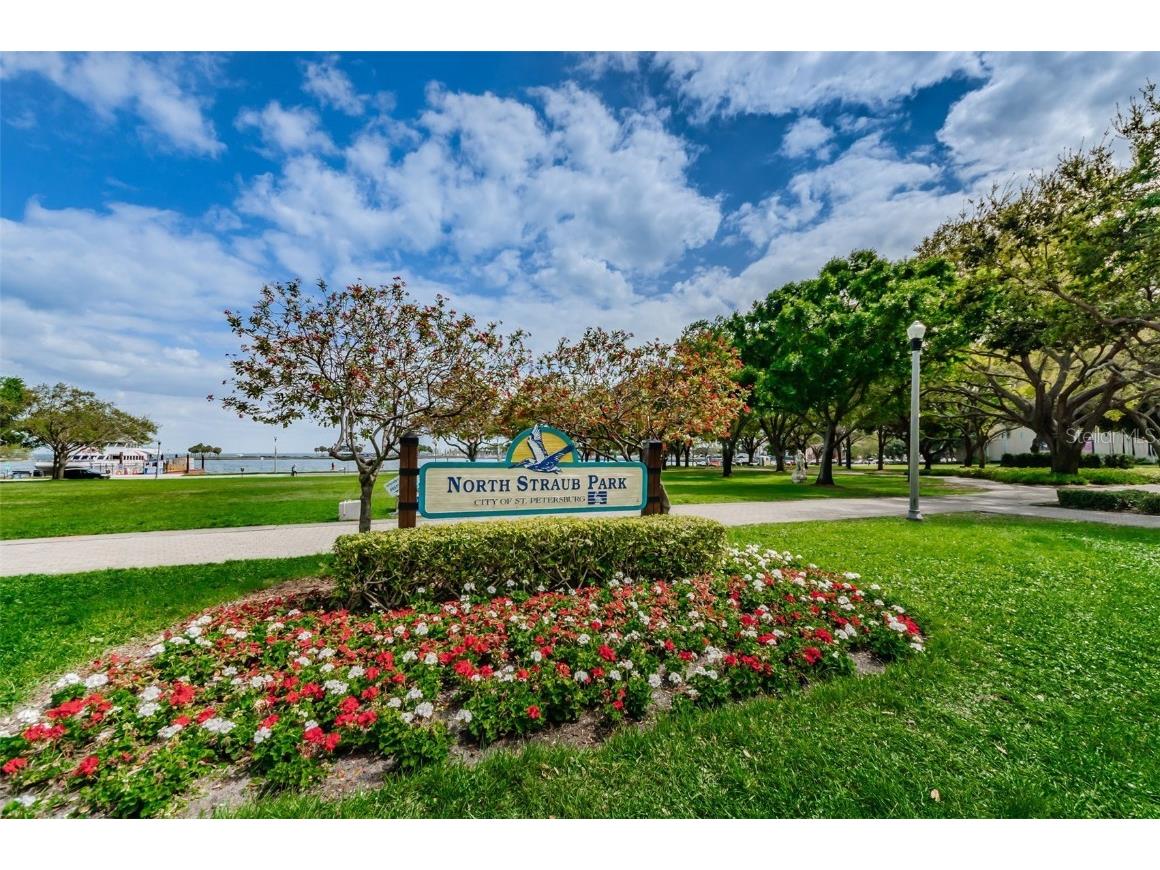 700 Beach Drive NE #308 Saint Petersburg FL 33701 - TAMPA BAY TB8423046 image66