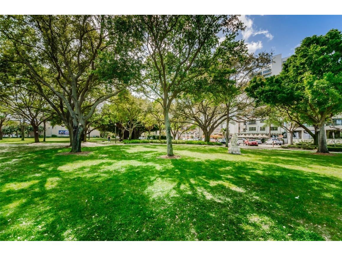 700 Beach Drive NE #308 Saint Petersburg FL 33701 - TAMPA BAY TB8423046 image67