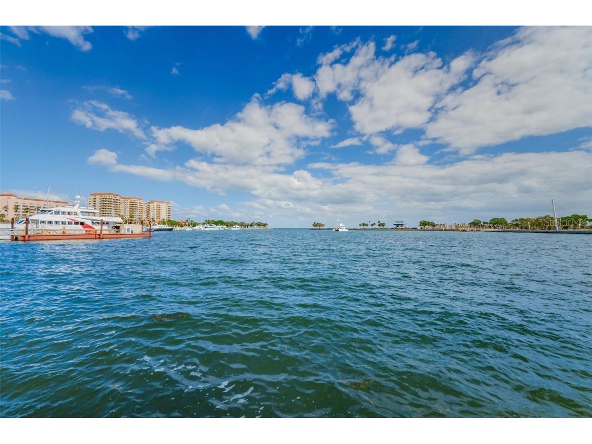 700 Beach Drive NE #308 Saint Petersburg FL 33701 - TAMPA BAY TB8423046 image70