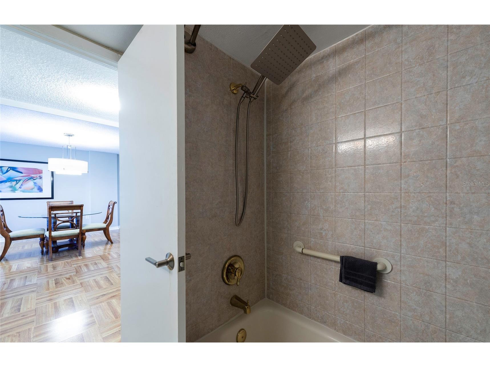 700 Beach Drive NE #406 Saint Petersburg FL 33701 TB8479775 image19