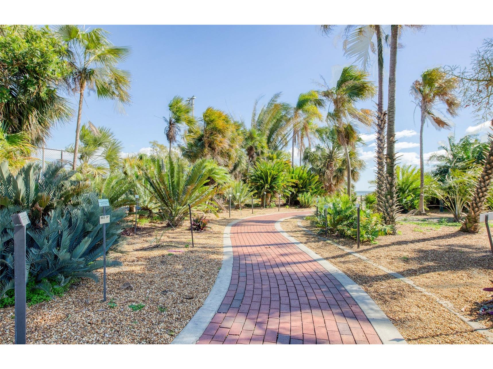 700 Beach Drive NE #406 Saint Petersburg FL 33701 TB8479775 image43