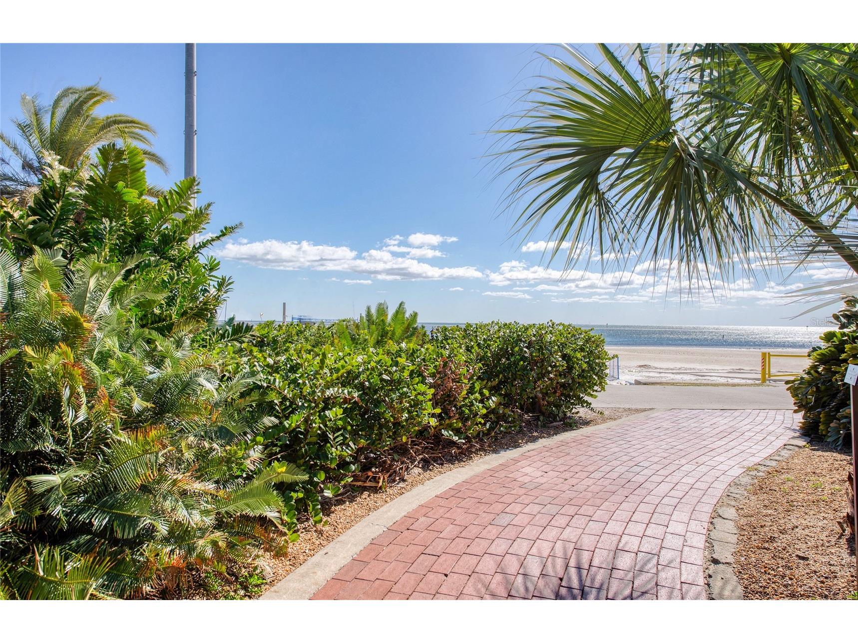 700 Beach Drive NE #406 Saint Petersburg FL 33701 TB8479775 image44