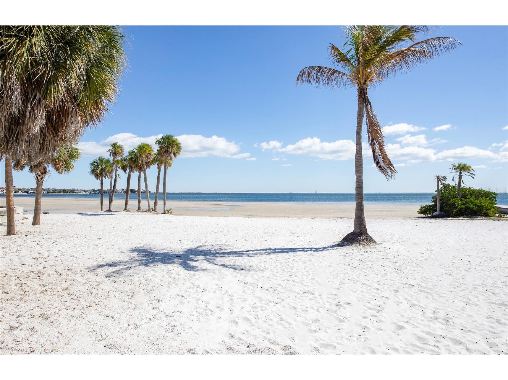 700 Beach Drive NE #406 Saint Petersburg FL 33701 TB8479775 image45