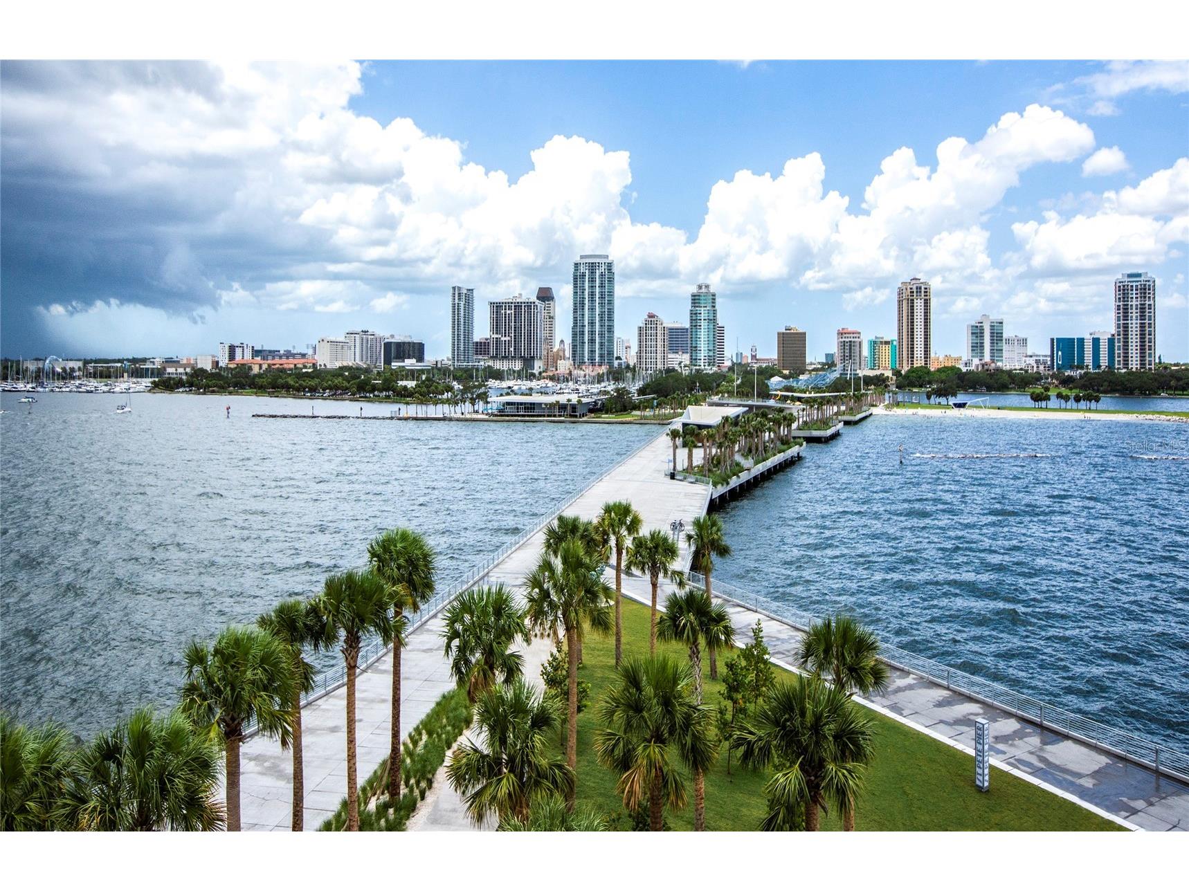 700 Beach Drive NE #406 Saint Petersburg FL 33701 TB8479775 image46