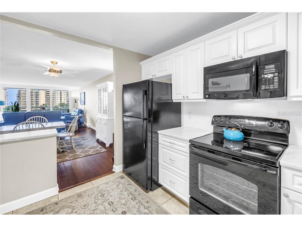 700 Beach Drive NE #602 Saint Petersburg FL 33701 TB8396545 image10