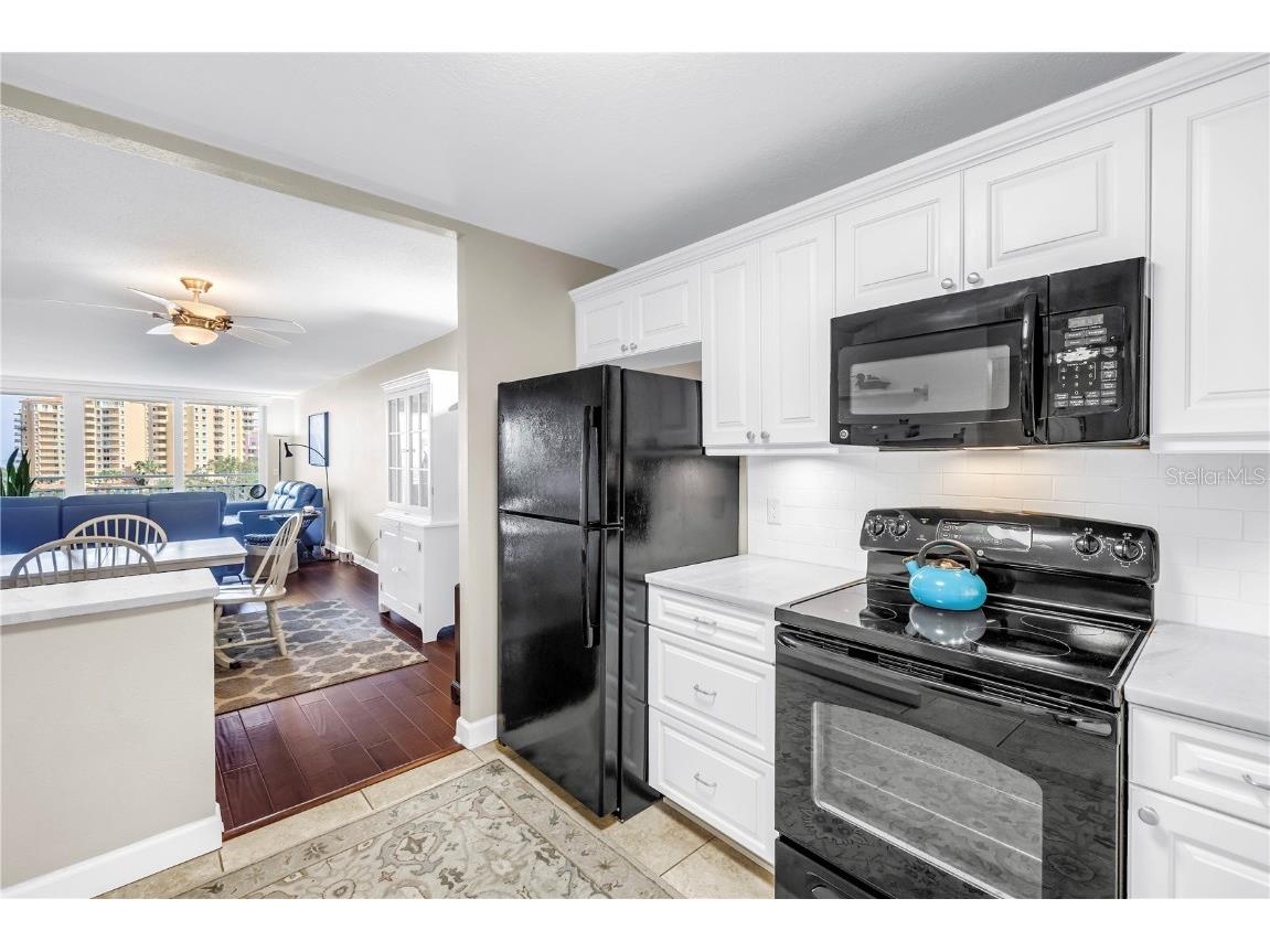 700 Beach Drive NE #602 Saint Petersburg FL 33701 TB8396545 image11