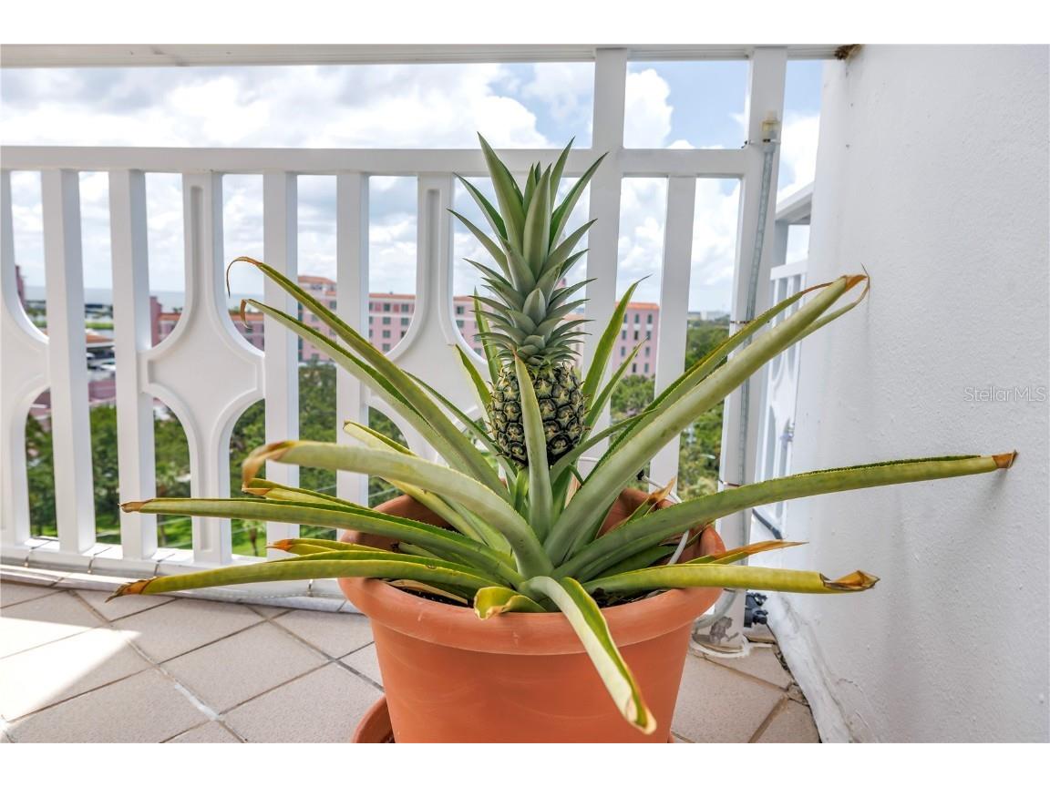 700 Beach Drive NE #602 Saint Petersburg FL 33701 TB8396545 image50