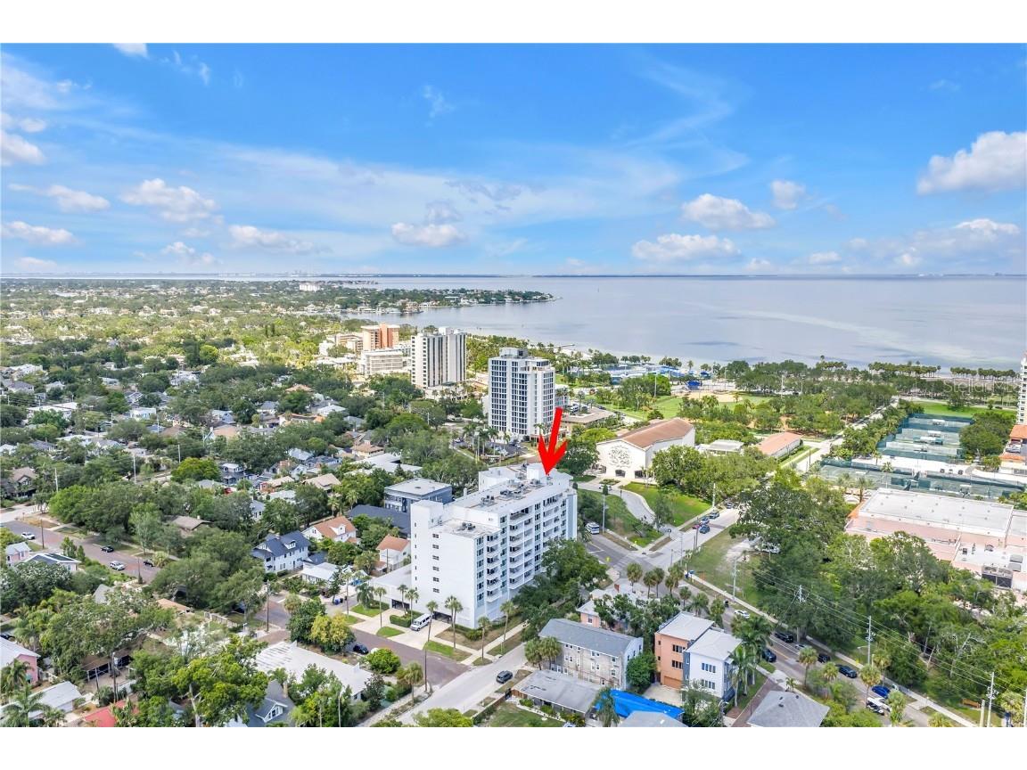 700 Beach Drive NE #602 Saint Petersburg FL 33701 TB8396545 image59