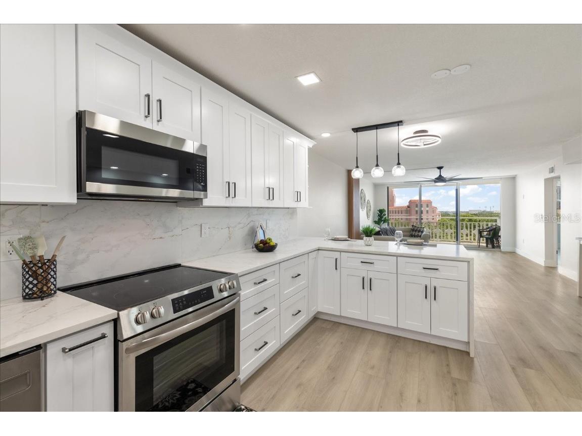 700 Beach Drive NE #705 Saint Petersburg FL 33701 TB8381242 image12