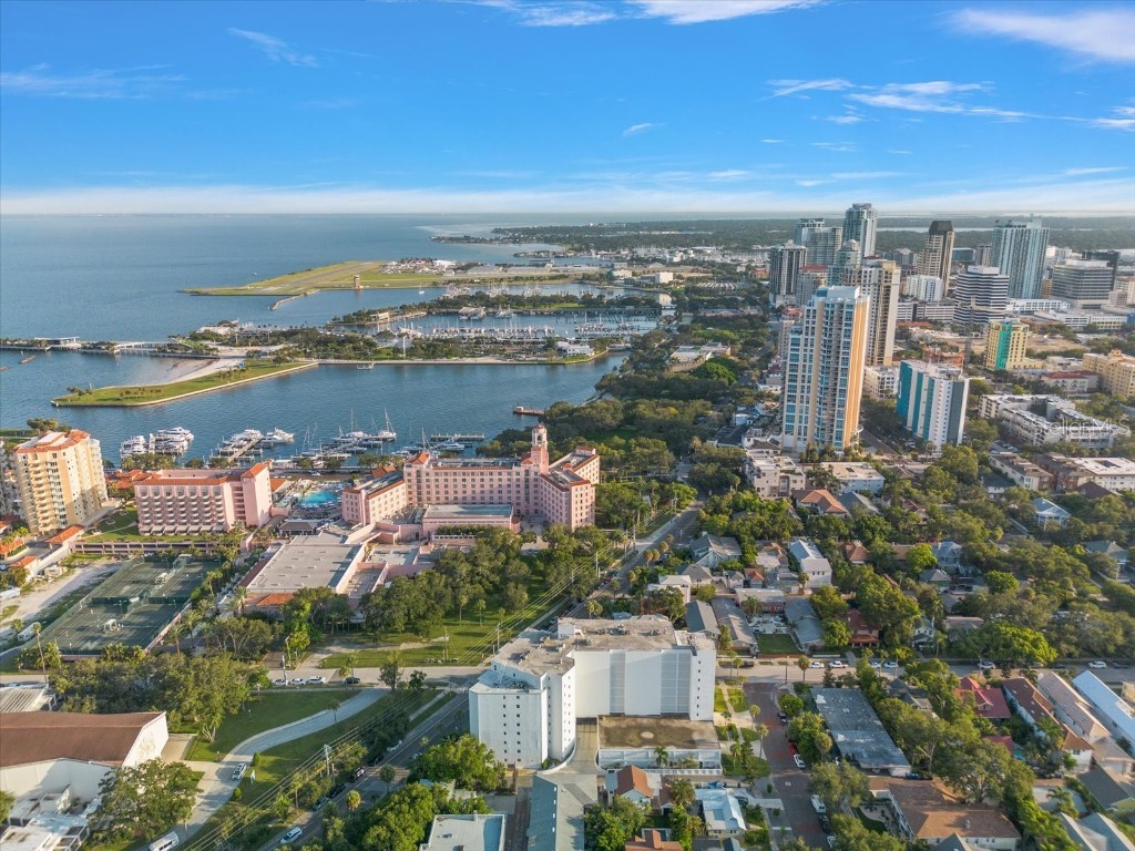 700 Beach Drive NE #705 Saint Petersburg FL 33701 TB8381242 image43