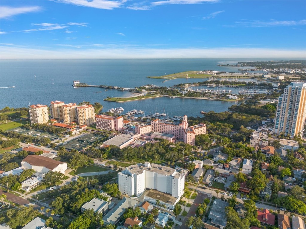 700 Beach Drive NE #705 Saint Petersburg FL 33701 TB8381242 image45
