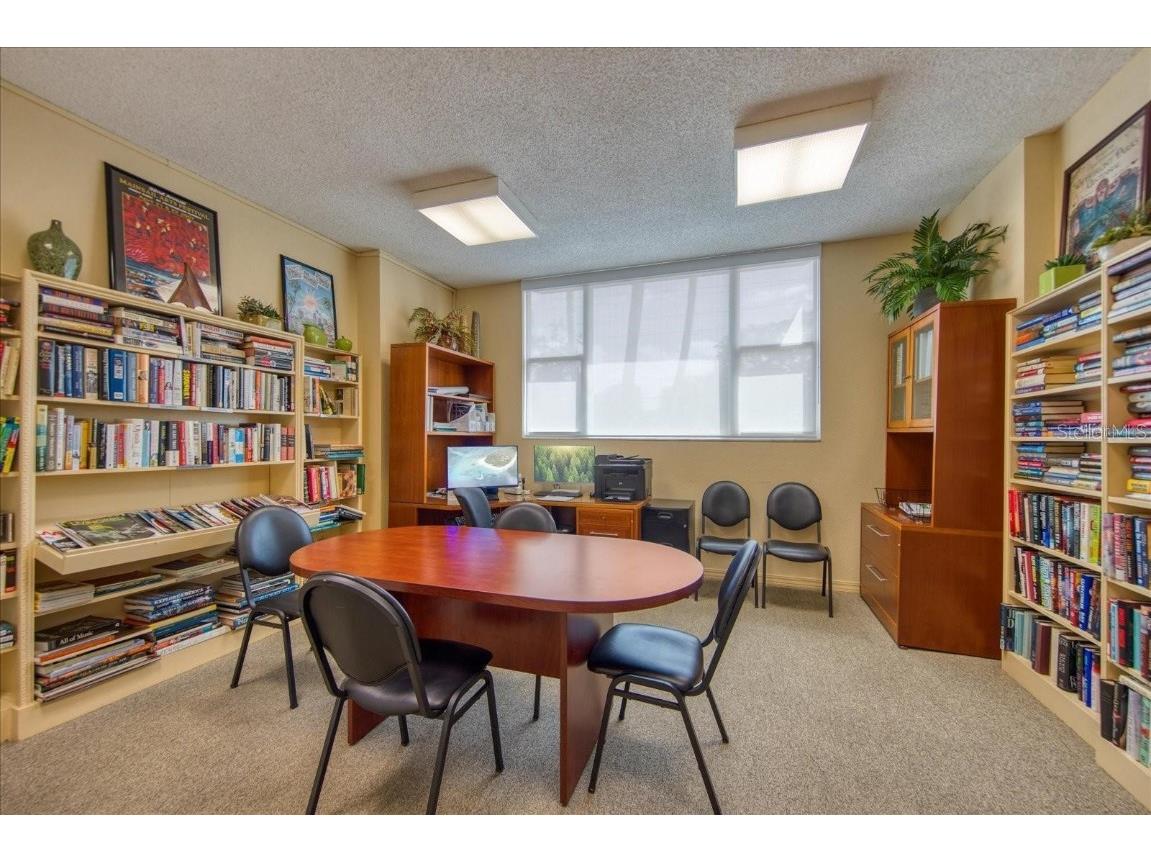 700 Beach Drive NE #705 Saint Petersburg FL 33701 TB8381242 image50