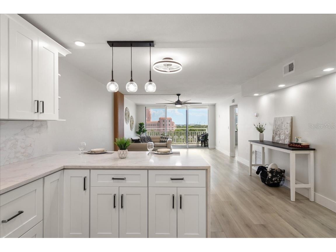 700 Beach Drive NE #705 Saint Petersburg FL 33701 TB8381242 image9